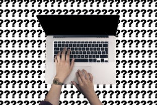 央视网42，体育新闻的权威解读与深度分析