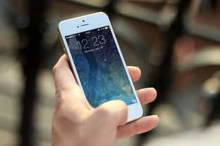 足球app正规分析交流平台，球迷的智能助手