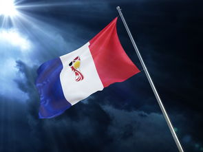 探索体育运动的英文词汇世界